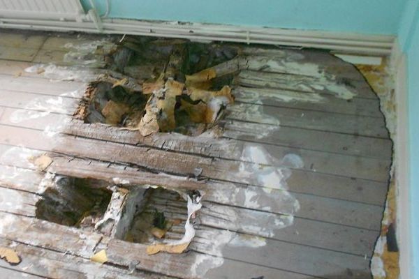 Plancher attaqué par la mérule